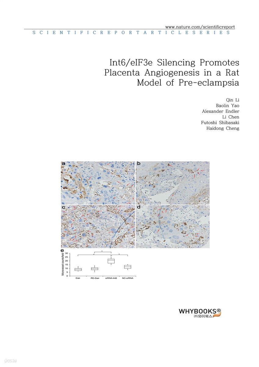 Int6. eIF3e Silencing Promotes Placenta Angiogenesis in a Rat Model of Pre-eclampsia