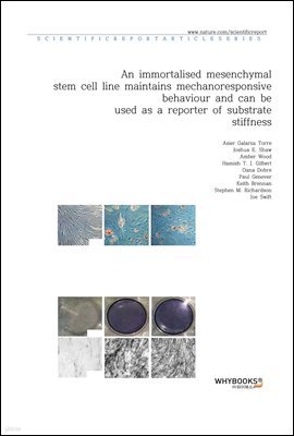 An immortalised mesenchymal stem cell line maintains mechano-responsive behaviour and can be used as a reporter of substrate stiffness