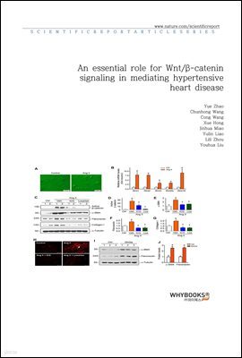 An essential role for Wnt -catenin signaling in mediating hypertensive heart disease
