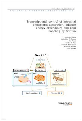 Transcriptional control of intestinal cholesterol absorption, adipose energy expenditure and lipid handling by Sortilin