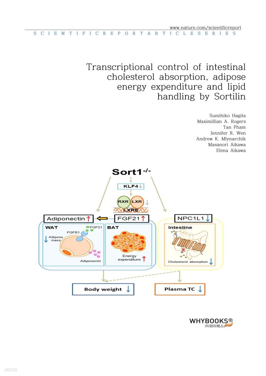 Transcriptional control of intestinal cholesterol absorption, adipose energy expenditure and lipid handling by Sortilin