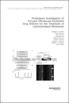 Preliminary Investigation of Focused Ultrasound-Facilitated Drug Delivery for the Treatment of Leptomeningeal Metastases