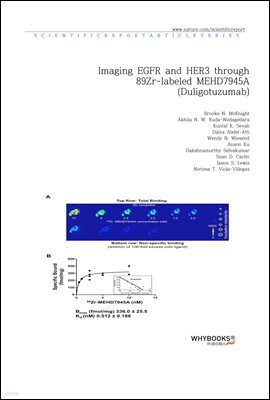 Imaging EGFR and HER3 through 89Zr-labeled MEHD7945A (Duligotuzumab)