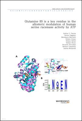 Glutamine 89 is a key residue in the allosteric modulation of human serine racemase activity by ATP