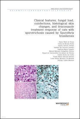Clinical features, fungal load, coinfections, histological skin changes, and itraconazole treatment response of cats with sporotrichosis caused by Sporothrix brasiliensis