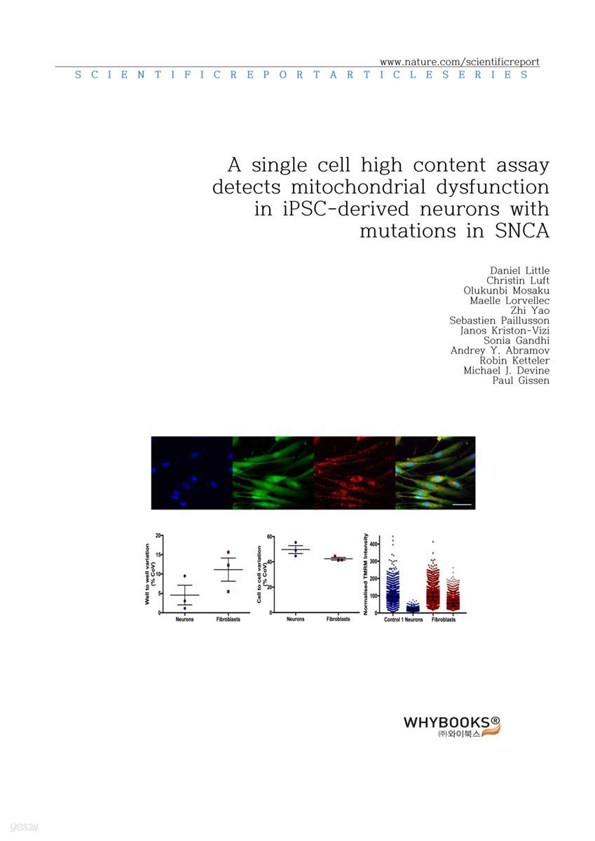 A single cell high content assay detects mitochondrial dysfunction in iPSC-derived neurons with mutations in SNCA