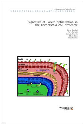 Signature of Pareto optimization in the Escherichia coli proteome