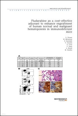 Fludarabine as a cost-effective adjuvant to enhance engraftment of human normal and malignant hematopoiesis in immunodeficient mice