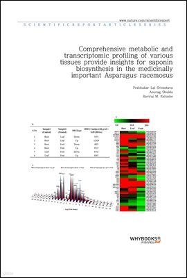 Comprehensive metabolic and transcriptomic profiling of various tissues provide insights for saponin biosynthesis in the medicinally important Asparagus racemosus