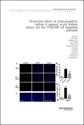 Protective effect of hydroxysafflor yellow A against acute kidney injury via the TLR4NF-B signaling pathway