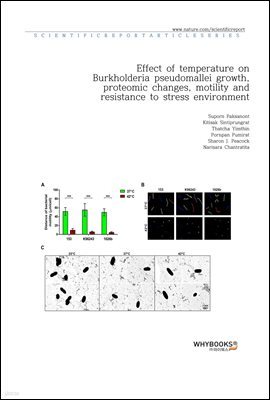 Effect of temperature on Burkholderia pseudomallei growth, proteomic changes, motility and resistance to stress environments