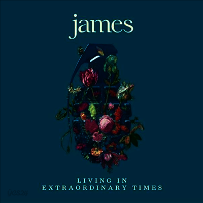 James - Living In Extraordinary Times (2LP)
