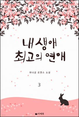 [대여] 내 생애 최고의 연애 3권 (완결)