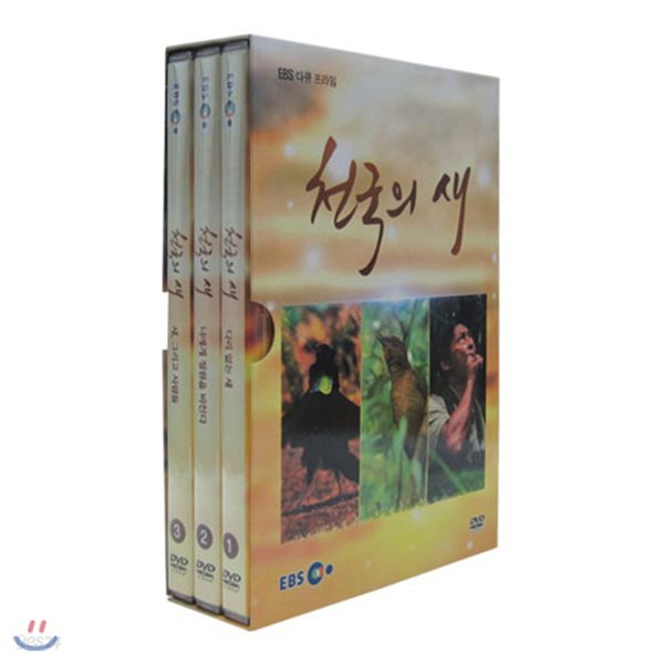 앙코르 천국의 새