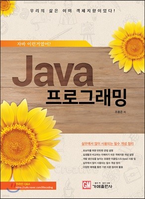 Java 프로그래밍 : 자바 이런거였어?