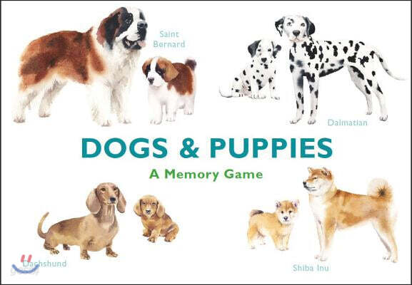 Dogs & Puppies