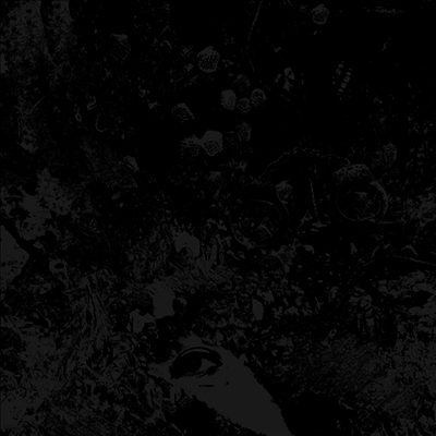 Primitive Man & Unearthly Trance — Split 앨범 커버