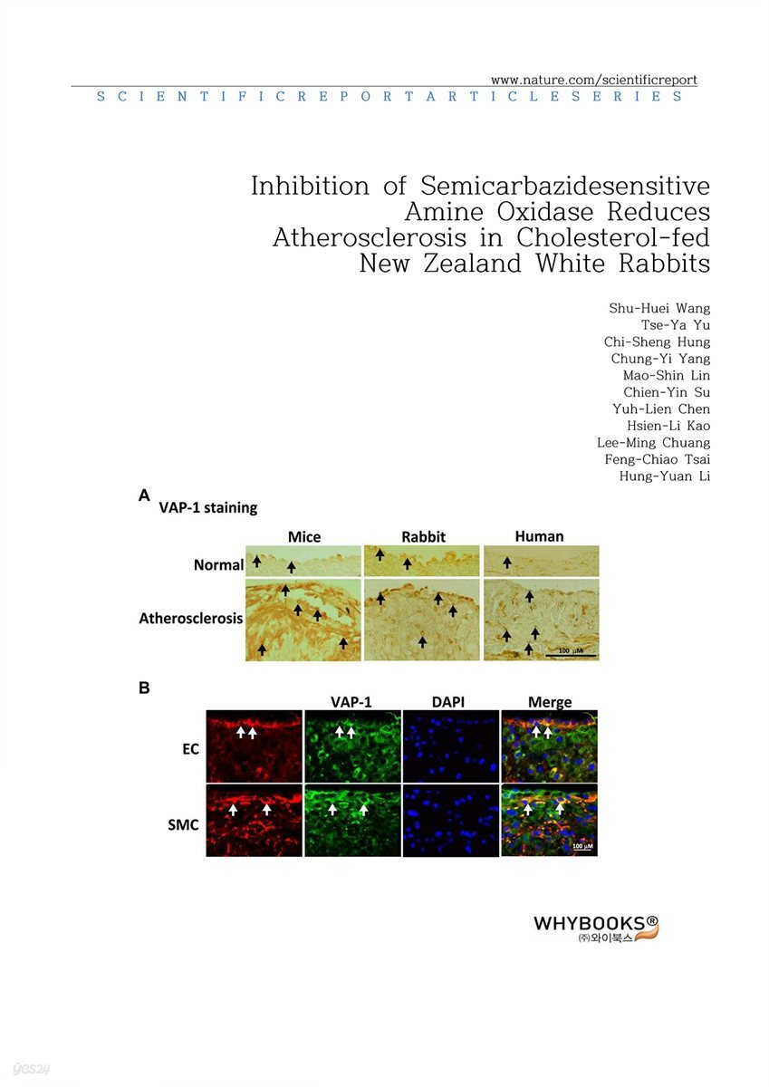 Inhibition of Semicarbazide-sensitive Amine Oxidase Reduces Atherosclerosis in Cholesterol-fed New Zealand White Rabbits