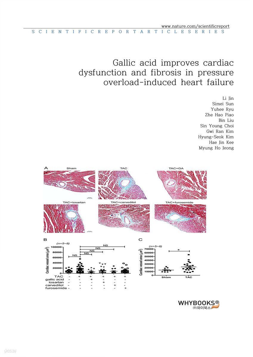 Gallic acid improves cardiac dysfunction and fibrosis in pressure overload-induced heart failure (2)