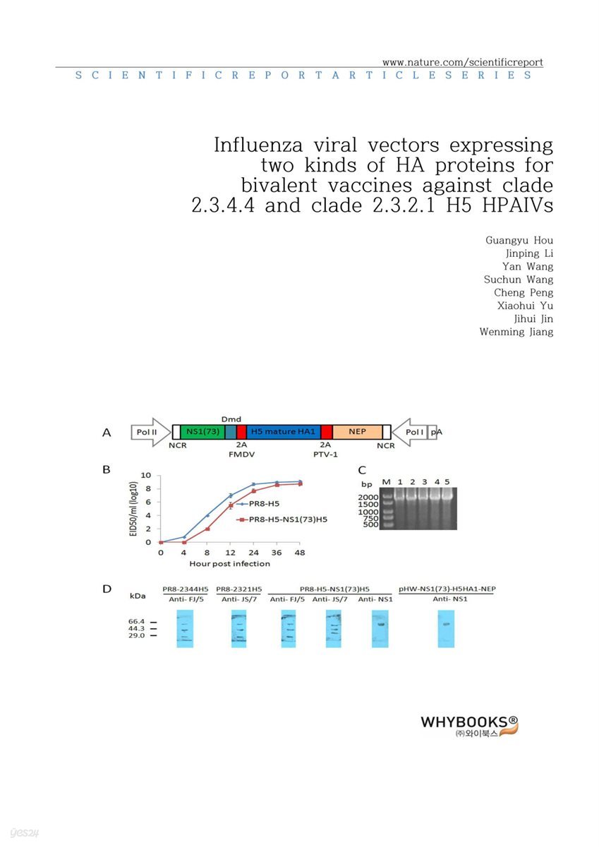 Influenza viral vectors expressing two kinds of HA proteins for bivalent vaccines against clade 2.3.4.4 and clade 2.3.2.1 H5 HPAIVs