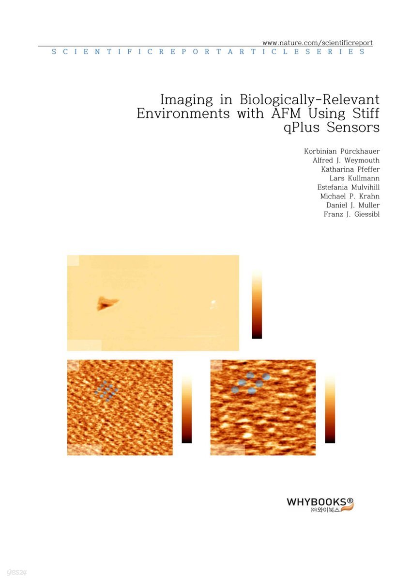 Imaging in Biologically-Relevant Environments with AFM Using Stiff qPlus Sensors