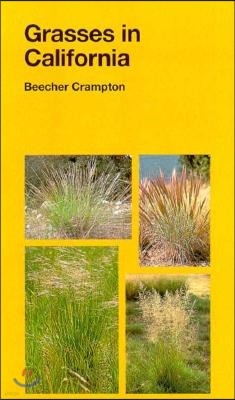 Grasses in California: Volume 33
