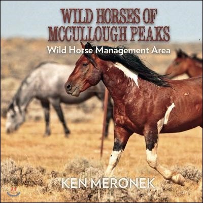 Wild Horses of McCullough Peaks