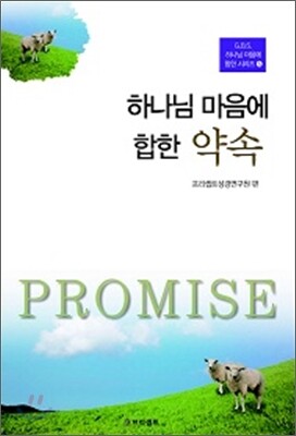 하나님 마음에 합한 약속