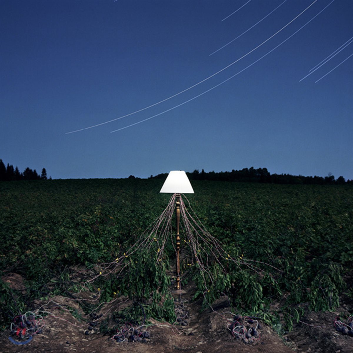 Beacon (비컨) - Escapements