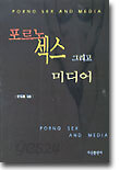 포르노 섹스 그리고 미디어