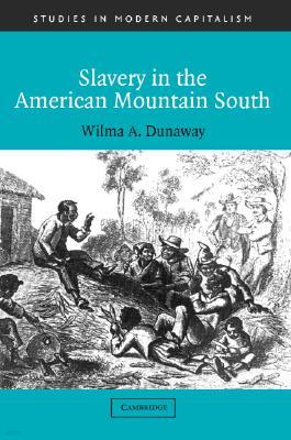 Slavery in the American Mountain South