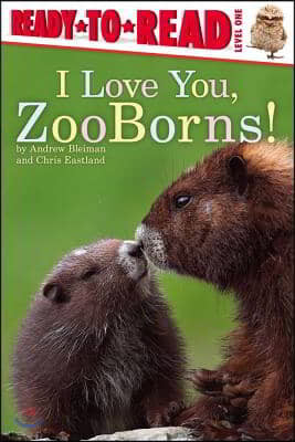 I Love You, Zooborns!: Ready-To-Read Level 1