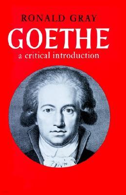 Goethe: A Critical Introduction