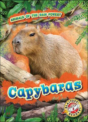Capybaras