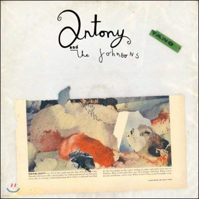 Antony and the Johnsons (   ) - Swanlights