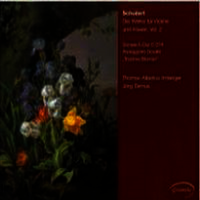 슈베르트 : 피아노와 바이올린 위한 작품집 Vol.2 (Schubert : Works for Violin & Piano Volume 2)(CD) - Thomas Albertus Irnberger