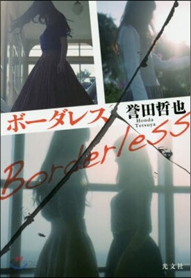 ボ-ダレス