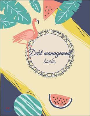 Debt management books: Debit management, income, cost monthly, qualency of credit class and amount you want to return Planner 8.5" x 11"- 120