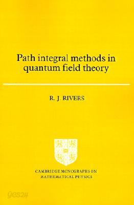 Path Integral Methods in Quantum Field Theory