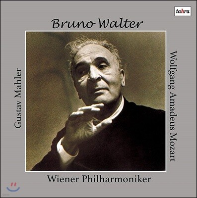 Bruno Walter,Wiener Philharmoniker,Kathleen Ferier,Julius Patzak,Gustav Mahler — Bruno Walter 말러: 대지의 노래 / 모차르트: 교향곡 40번 (Mahler: Das Lied von der Erde / Mozart: Symphony No. 40) 브루노 발터, 빈 필하모닉 오케스트라 앨범 커버