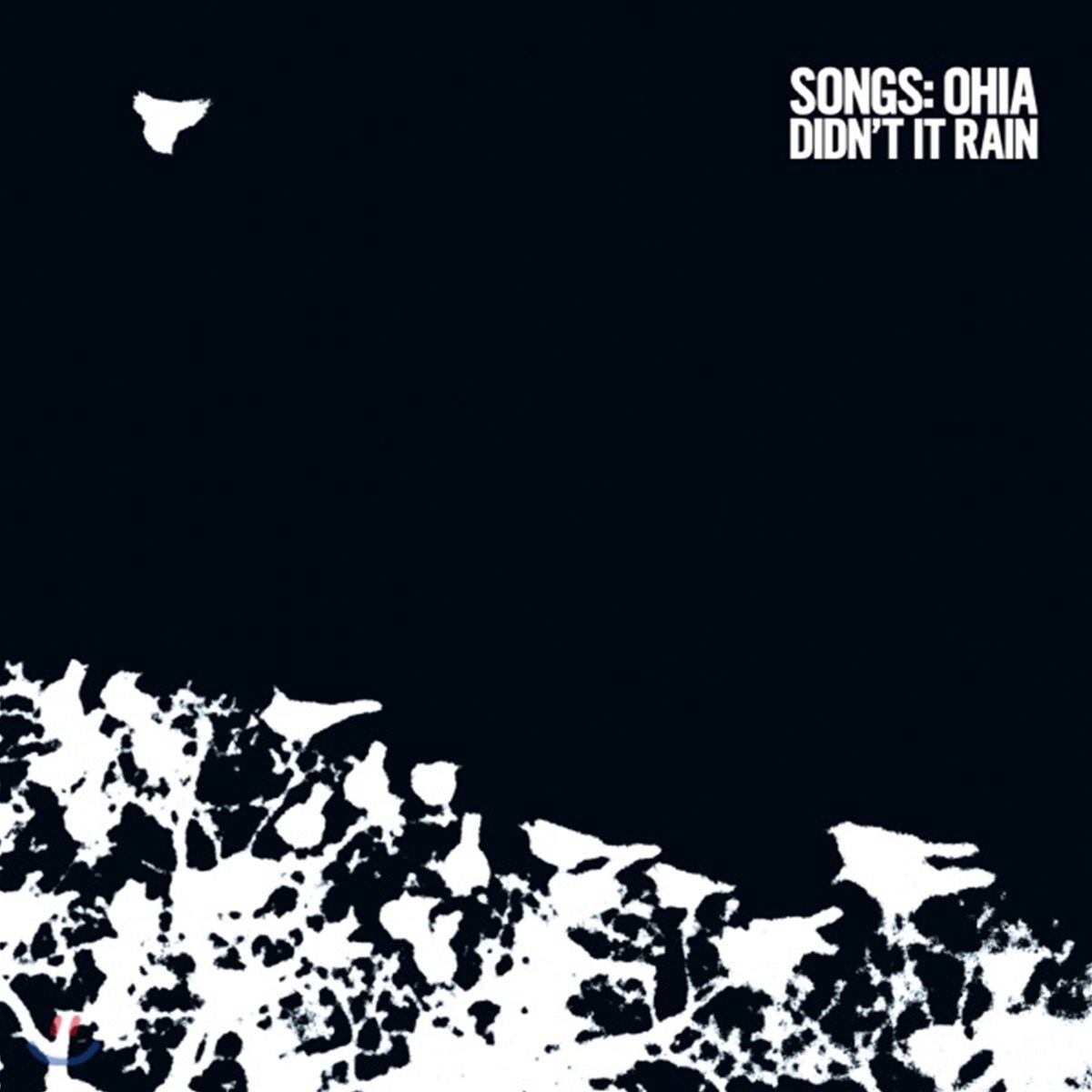 Songs: Ohia (송즈 오히아) - Didn't It Rain [2 LP]