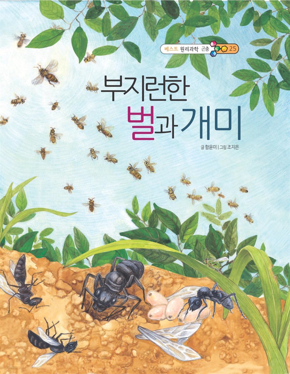 부지런한 벌과 개미 - 베스트 원리과학 곤충 25