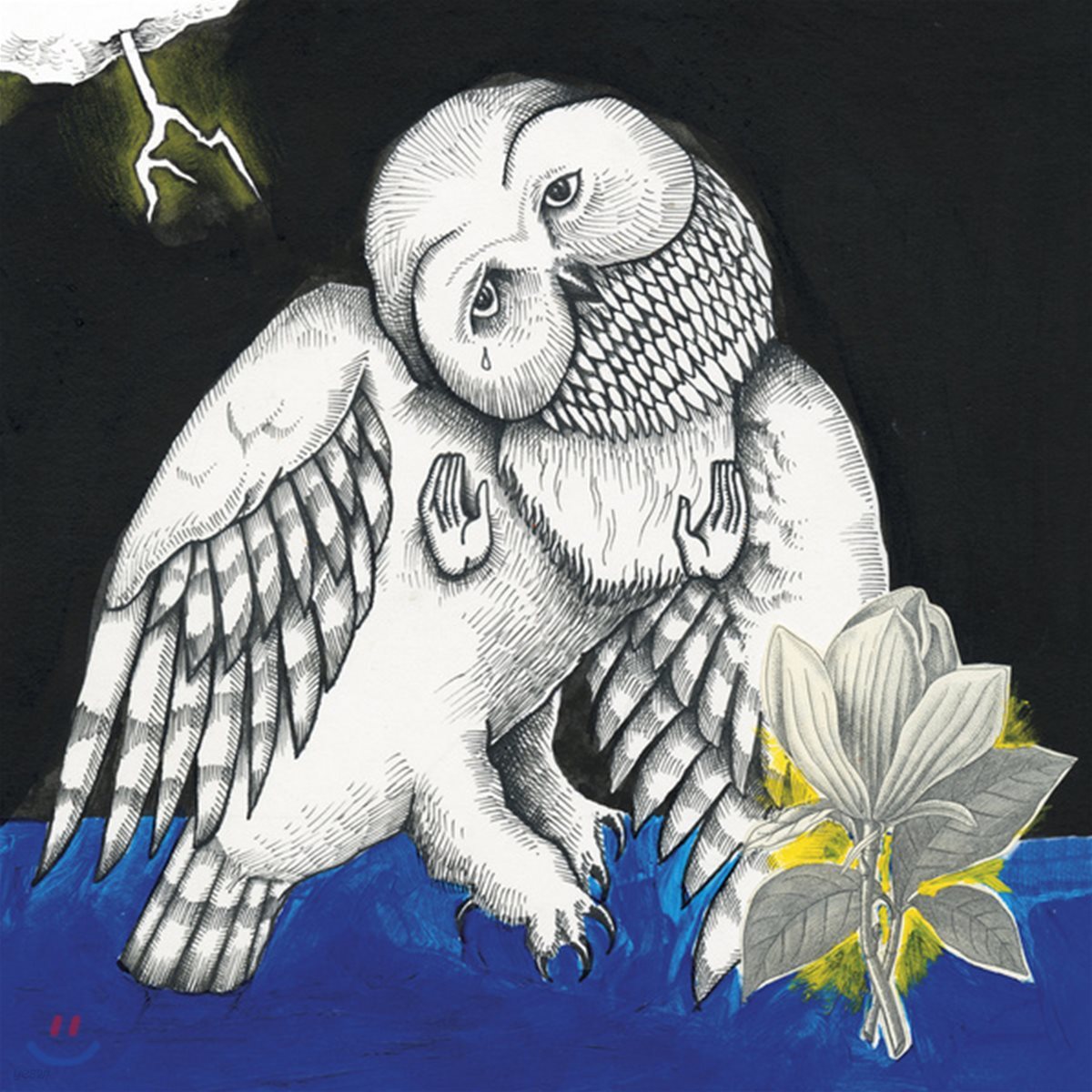 Songs: Ohia (송즈 오히아) - Magnolia Electric Co. [2LP]