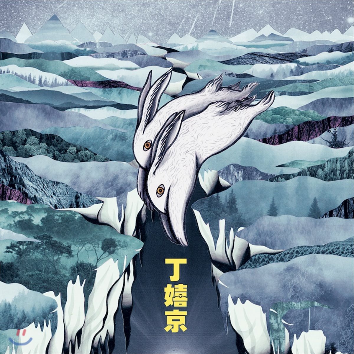 정희경 - 틈 (Crevasse)