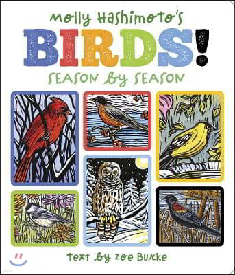 Molly Hashimoto's Birds!: Season by Season