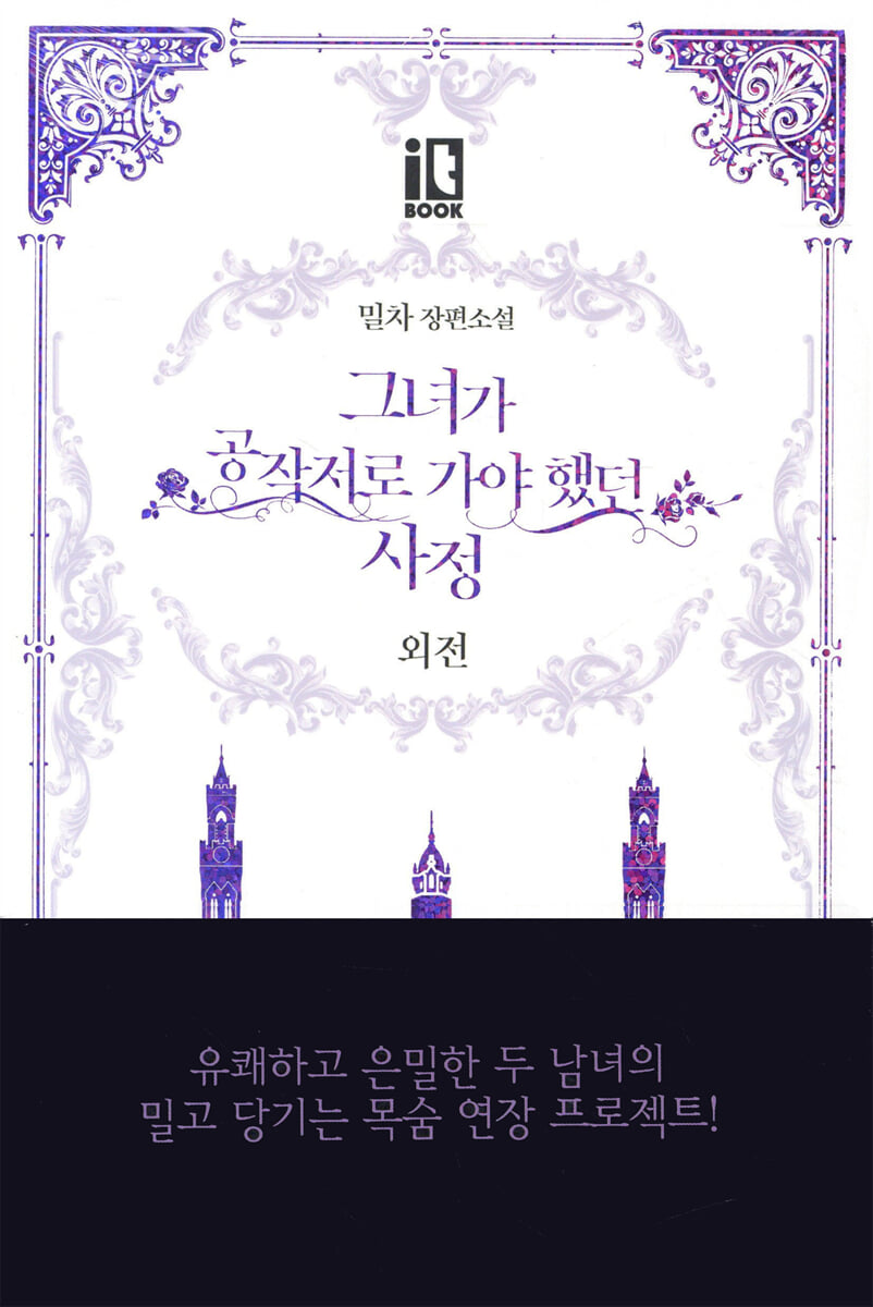 그녀가 공작저로 가야 했던 사정 외전 (일반판)