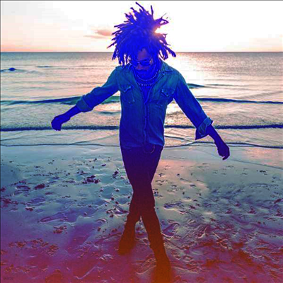 Lenny Kravitz — Raise Vibration (Picture Disc) 앨범 커버