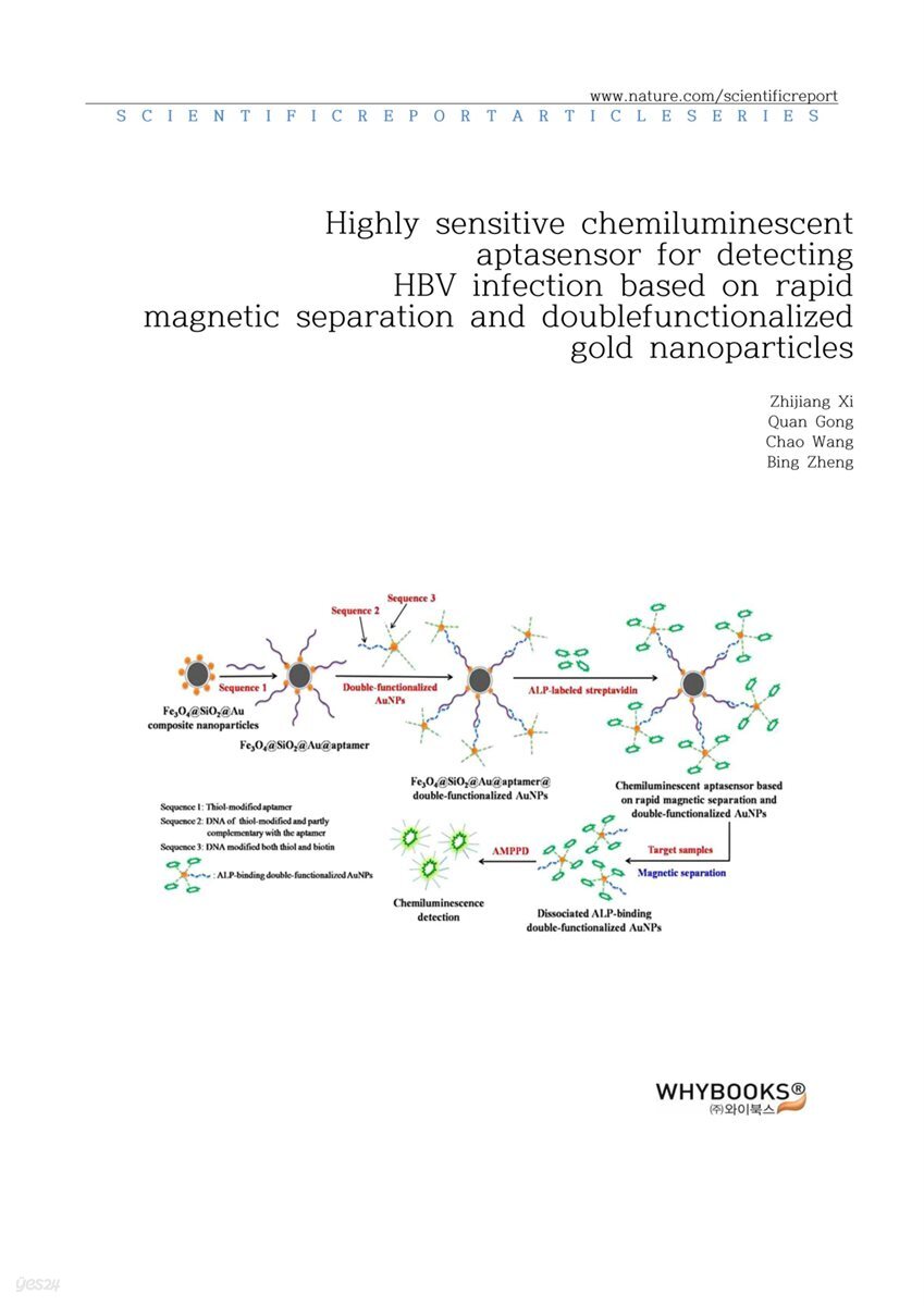 Highly sensitive chemiluminescent aptasensor for detecting HBV infection based on rapid magnetic separation and double-functionalized gold nanoparticles