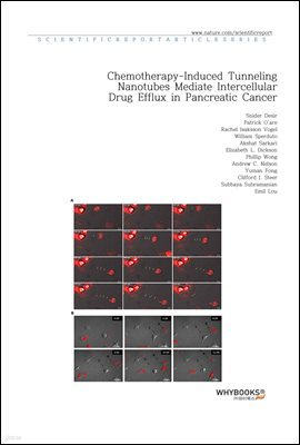 Chemotherapy-Induced Tunneling Nanotubes Mediate Intercellular Drug Efflux in Pancreatic Cancer