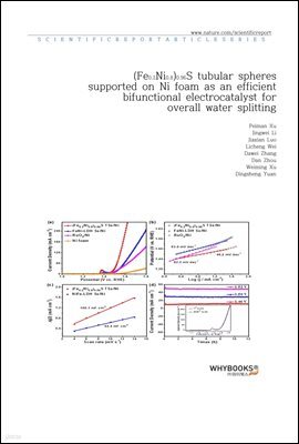 (Fe0.2Ni0.8)0.96S tubular spheres supported on Ni foam as an efficient bifunctional electrocatalyst for overall water splitting